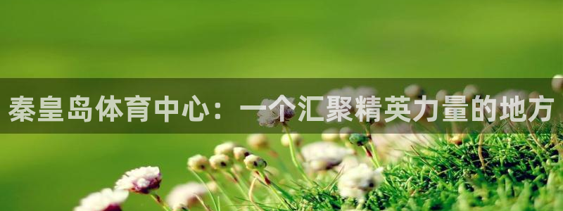 秦皇岛体育中心：一个汇聚精英力量的地方
