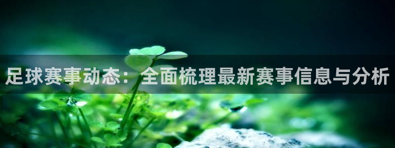 足球赛事动态：全面梳理最新赛事信息与分析