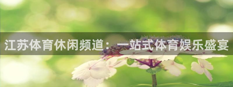 江苏体育休闲频道：一站式体育娱乐盛宴