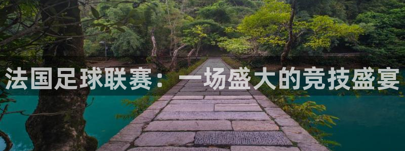 法国足球联赛：一场盛大的竞技盛宴