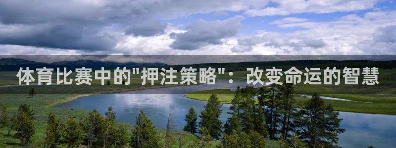 体育比赛中的\