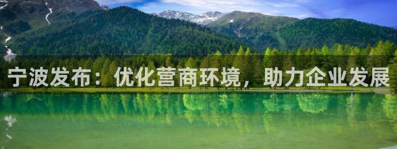 宁波发布：优化营商环境，助力企业发展