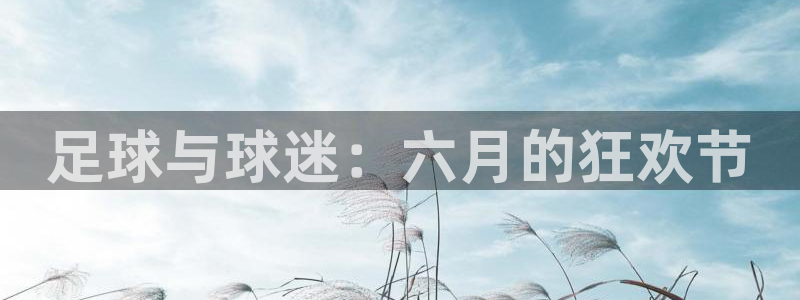 足球与球迷：六月的狂欢节