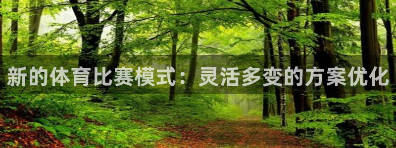 新的体育比赛模式：灵活多变的方案优化