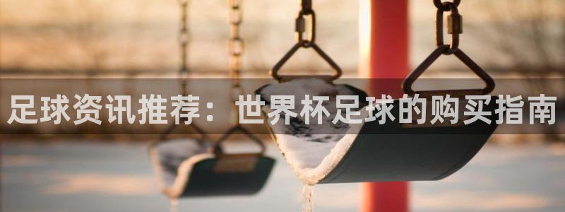 足球资讯推荐：世界杯足球的购买指南