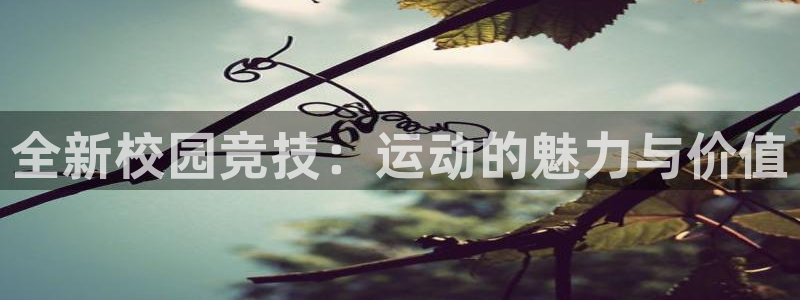 全新校园竞技：运动的魅力与价值