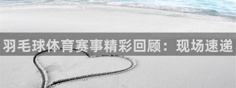 羽毛球体育赛事精彩回顾：现场速递