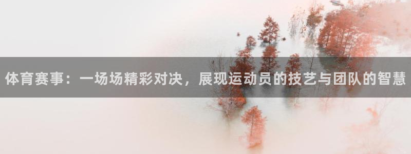 体育赛事：一场场精彩对决，展现运动员的技艺与团队的智慧