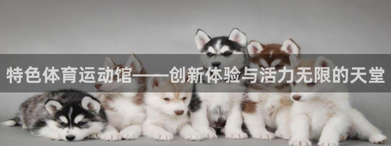 特色体育运动馆——创新体验与活力无限的天堂