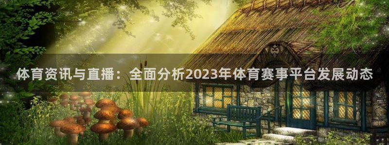 体育资讯与直播：全面分析2023年体育赛事平台发展动态