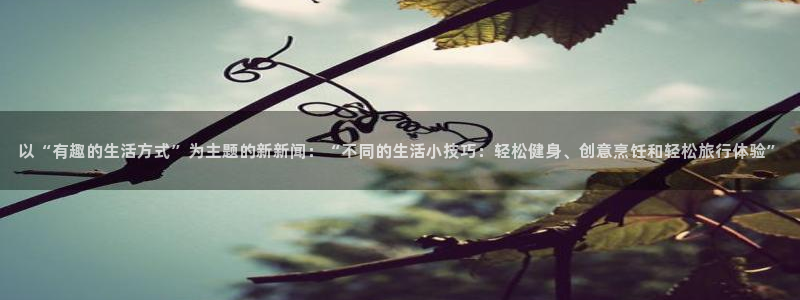 以“有趣的生活方式”为主题的新新闻：“不同的生活小技巧：轻松健身、创意烹饪和轻松旅行体验”