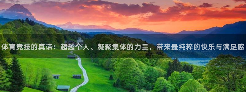 体育竞技的真谛：超越个人、凝聚集体的力量，带来最纯粹的快乐与满足感