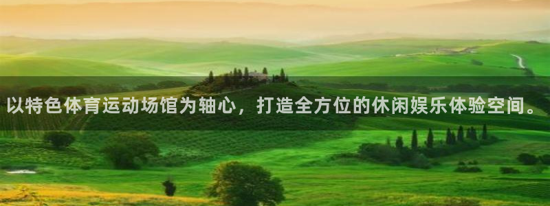 以特色体育运动场馆为轴心，打造全方位的休闲娱乐体验空间。