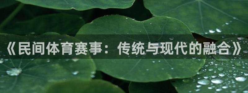 《民间体育赛事:传统与现代的融合》