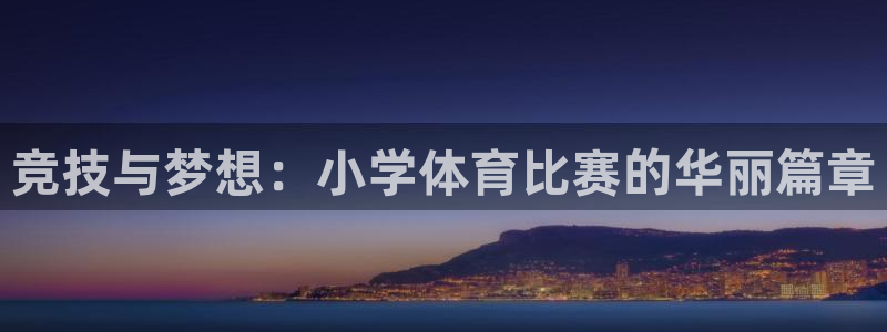 竞技与梦想:小学体育比赛的华丽篇章